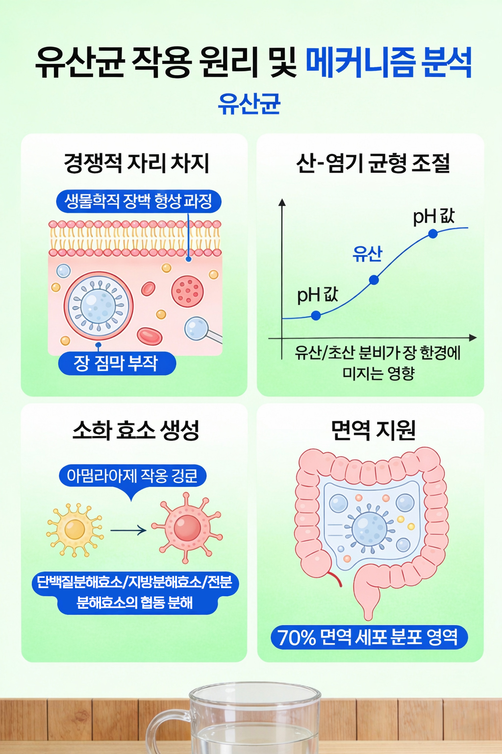 VitalBiome 제품 이미지 12